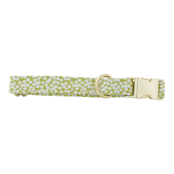 Green Flowers Collar