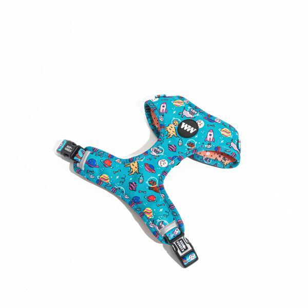 Adjustable Harness