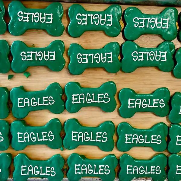 Philadelphia Eagles Bone Treat