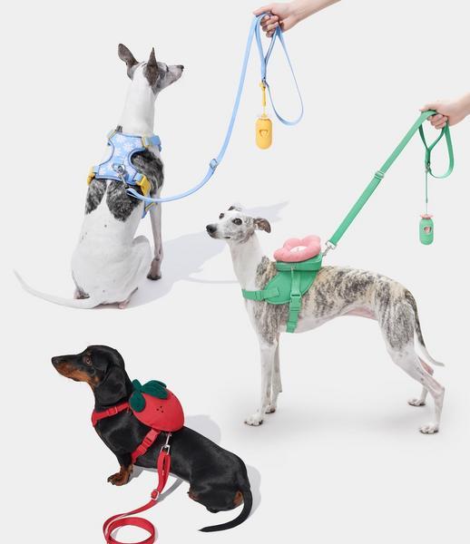 Harness And Leash Set