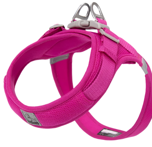 Mesh Harness