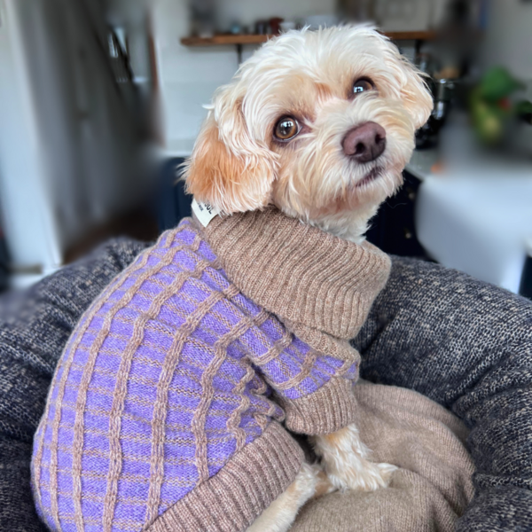Purple Jumper In Pure Merino Lambswool