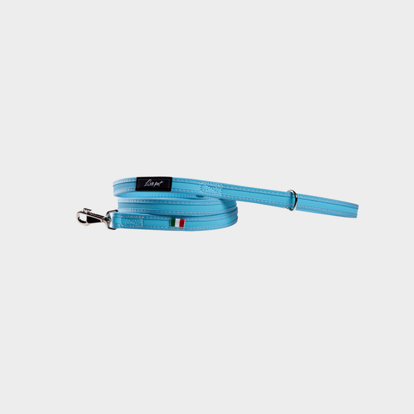 Light Blue Pvc Lead