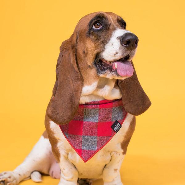 Flannel Neckerchief
