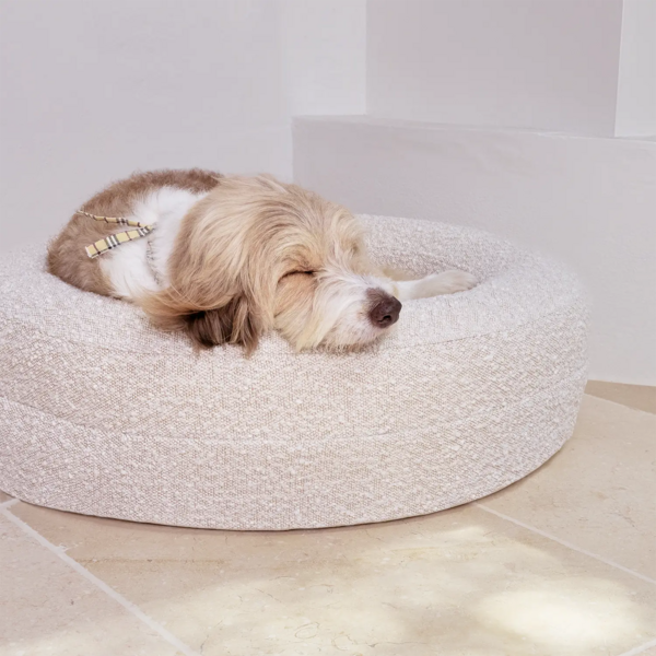 Bouclé Cover Curl