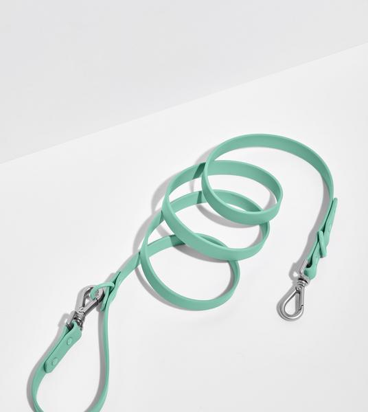 Water Resistant Leash with Adjustable Lengths and Snap Hooks