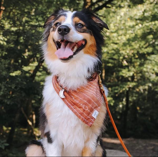 Sedona Bandana