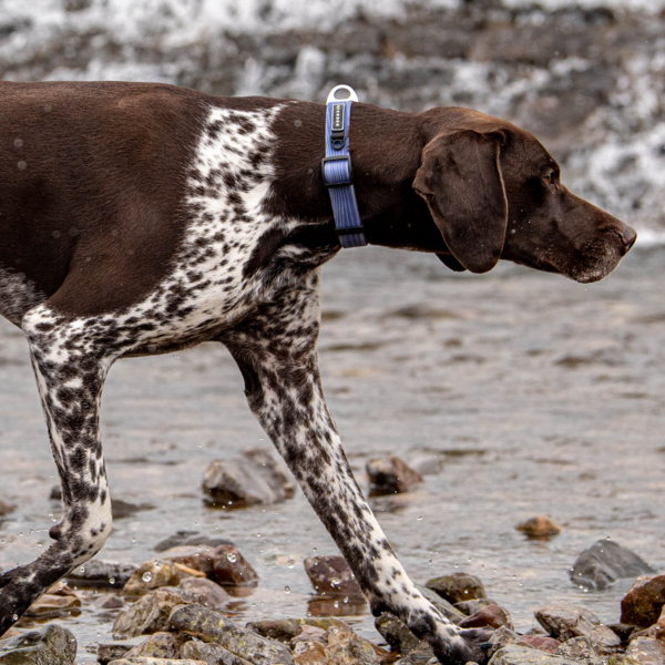 Stink-Proofed Waterproof Collar