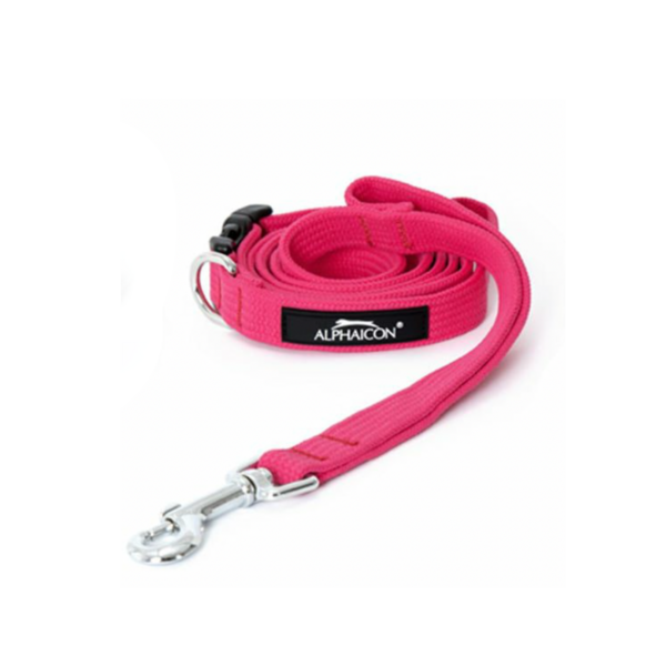 Braided Leash