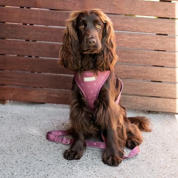 Classic Flower Print Harness