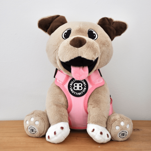 Xl Bully Teddy Bear Harness Pink
