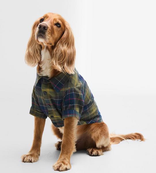 Tartan Fortrose Shirt
