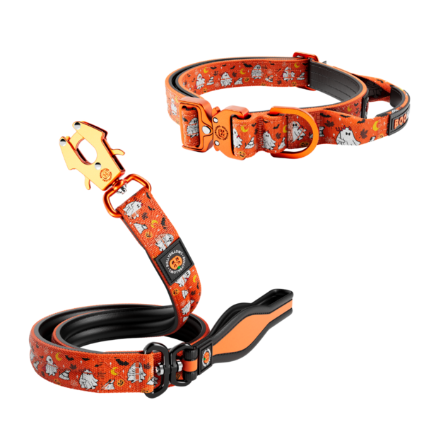 Combat Precision Collar And Mini Lead Bundle Halloween Edition