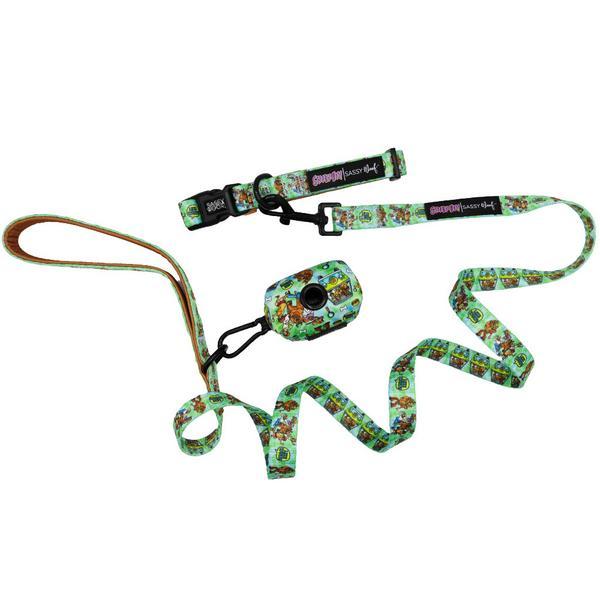 Three Piece Collar Bundle