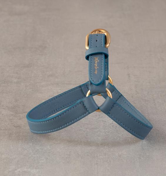 Leather Harness