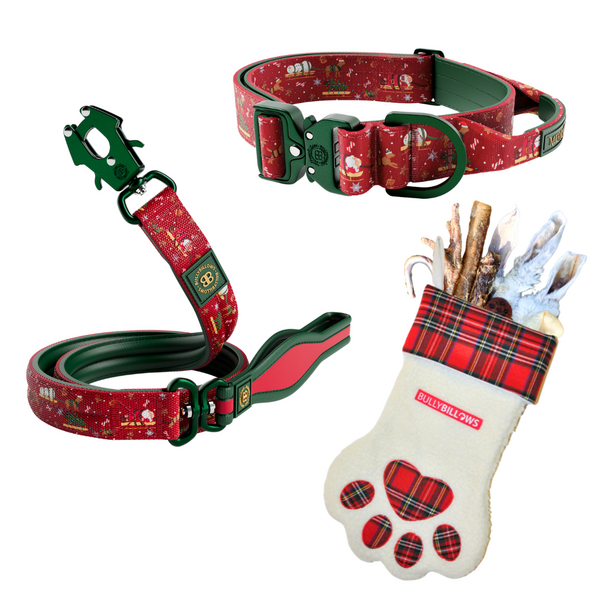 Festive Holiday Collar Lead And Treats Bundle