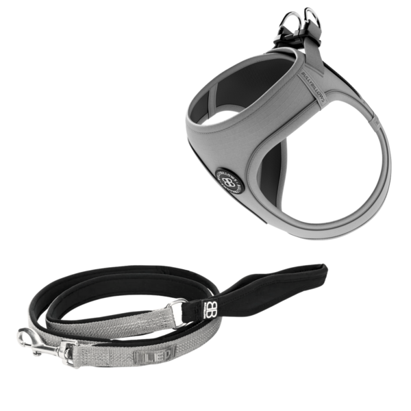 Step-In Harness And Active Lead Bundle