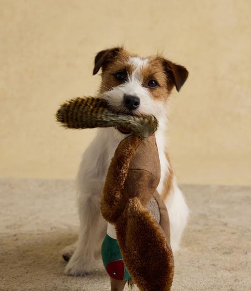Brown Pheasant Plush Toy