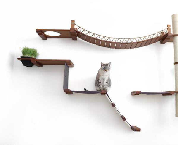 Expedition Jungle Gym Wall System
