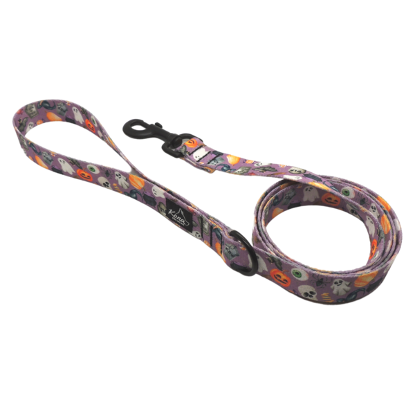 Water-Resistant Heavy Duty Leash