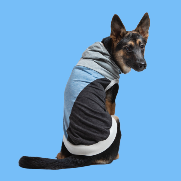 Skater Ii Hoodie