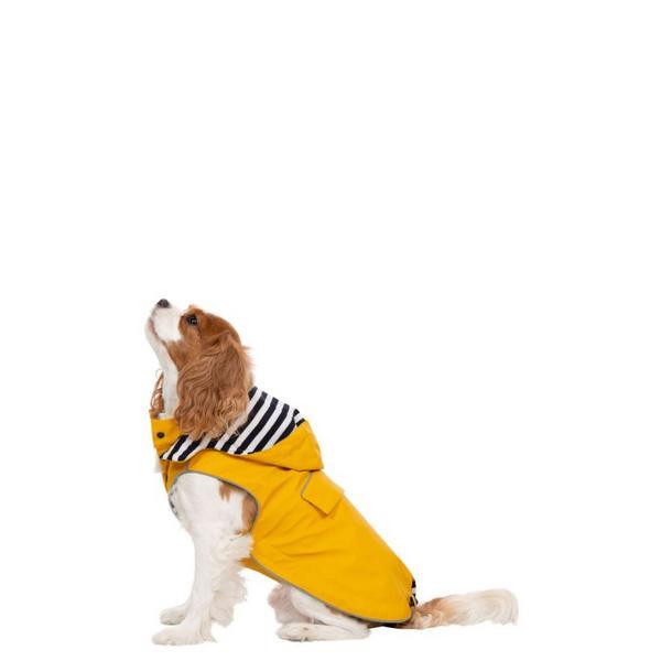 Xs Waterproof Coat With Hood