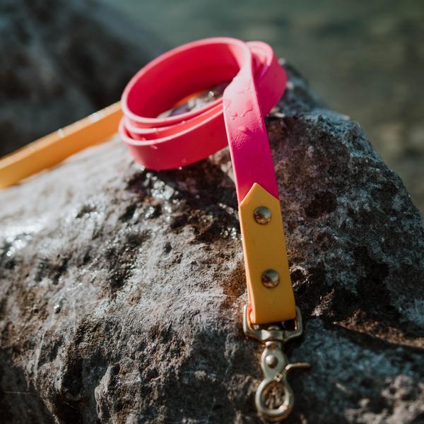 Two Tone Classic Waterproof Leash