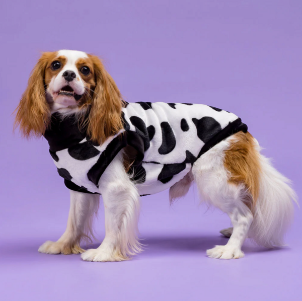 Halloween Cow Costume Sweater