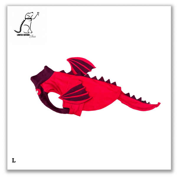 Limited Edition Dragon Coat With Wings And Tail
