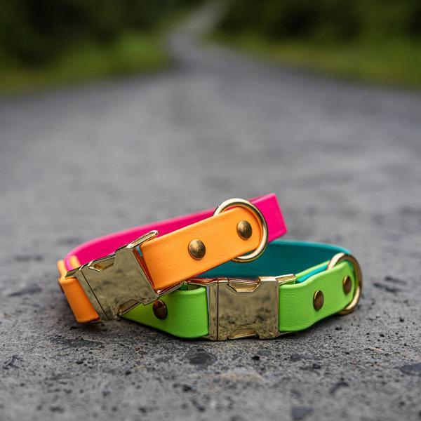 Two Tone Quick Release Collar