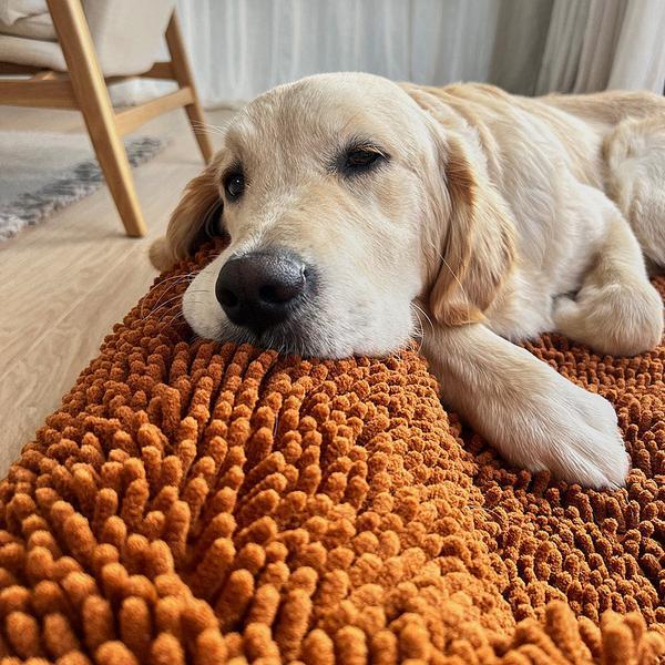 Wet-Drying Bed Cover