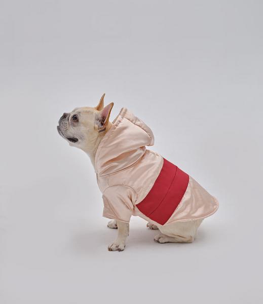 Pet Pocket Hoodie