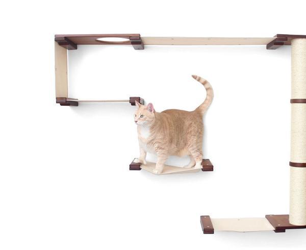 Wall Climbing System