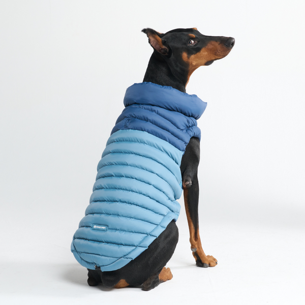 Puffshield Winter Jacket