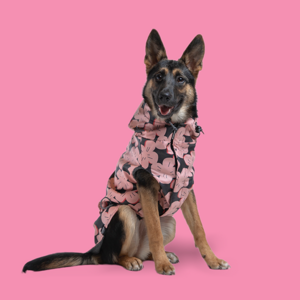 Waterproof Floral Print Raincoat