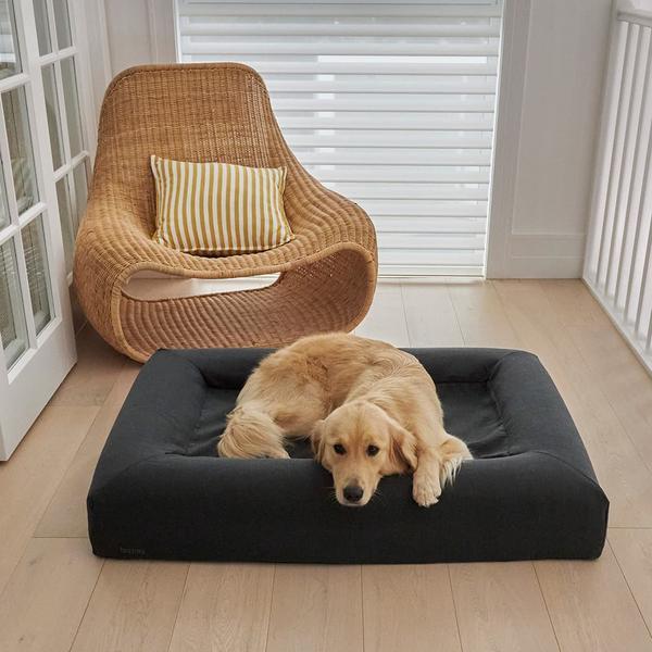 Basics Cover Slipcover