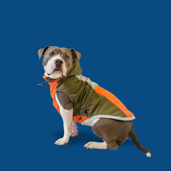 Olive Green And Orange Windbreaker