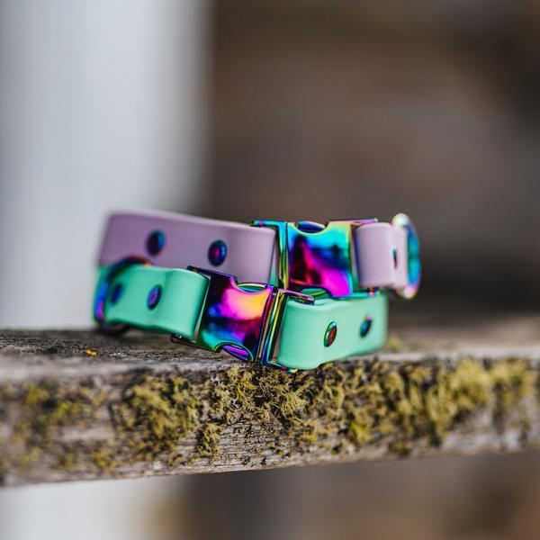 Quick Release Buckle Collar