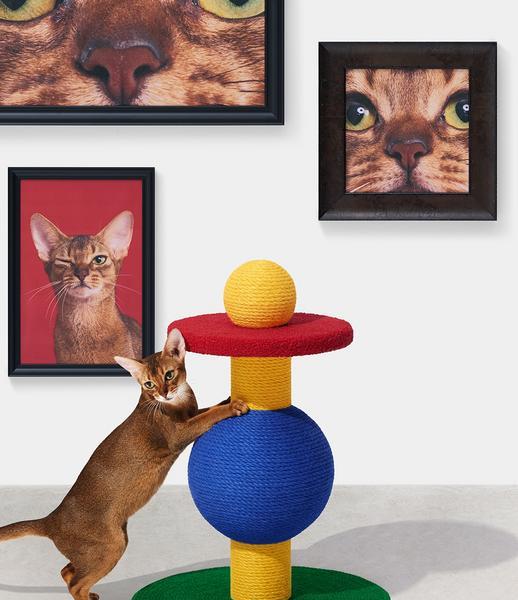 Chroma Scratching Post Playful Ball