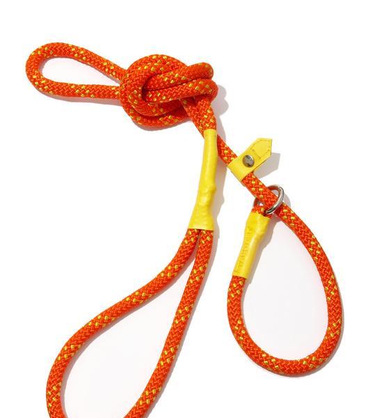 Climbing Rope Control Lead