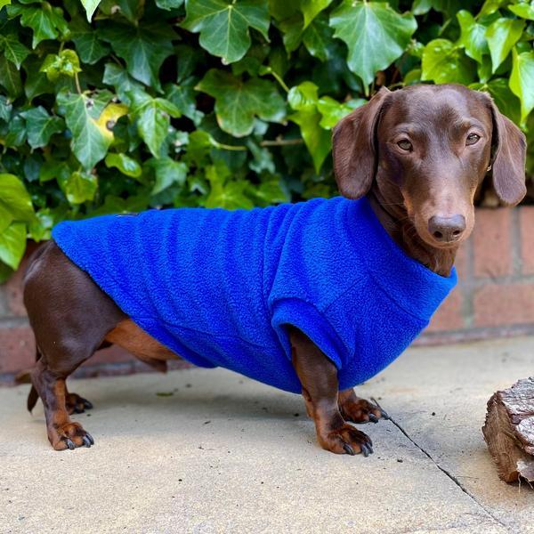 Jumper In Polar Fleece