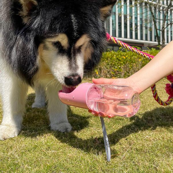 Portable Outdoor Water Bottle