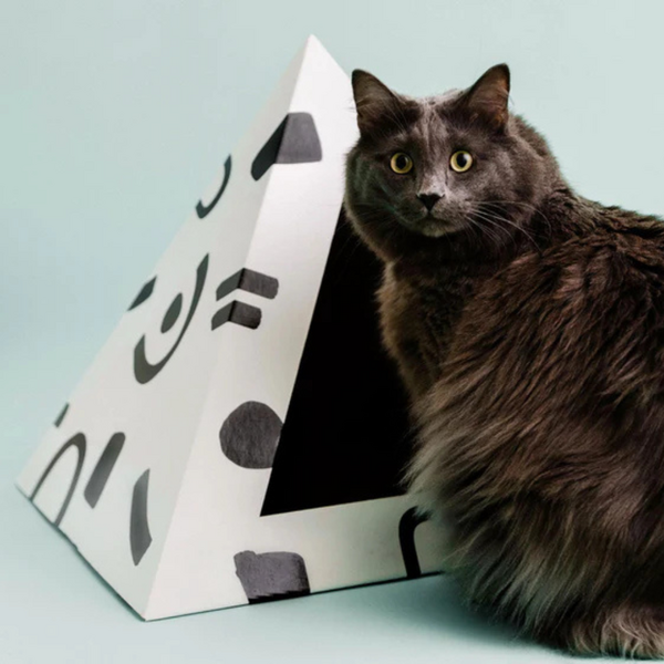 Cardboard Pyramid Bed