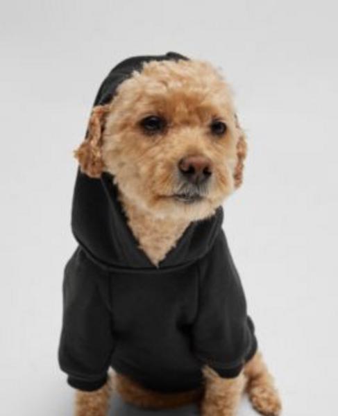 Hooded Sweatshirt With Striped Logo