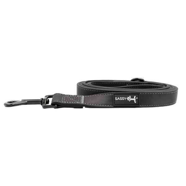 Reflective Leash