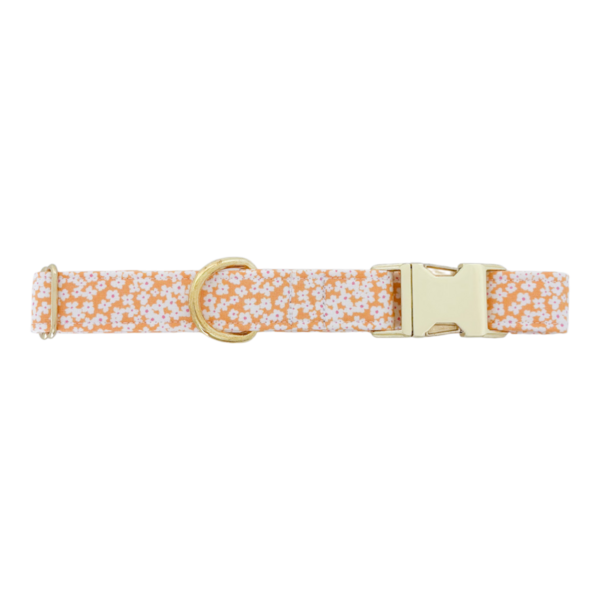 Orange Flowers Collar