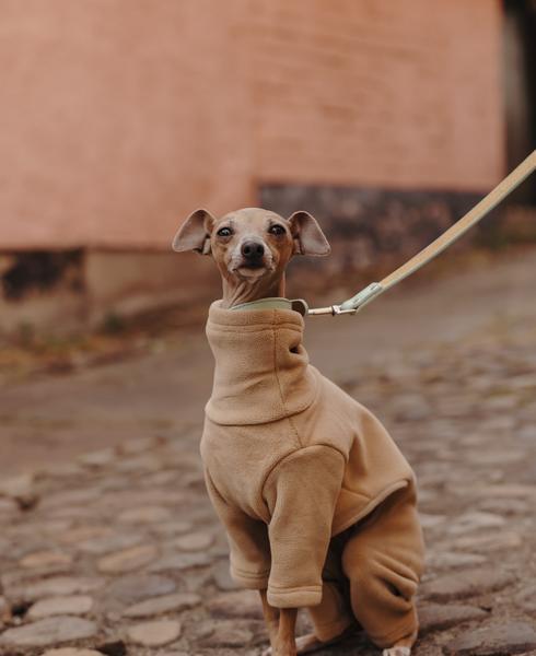 Fleece Latte