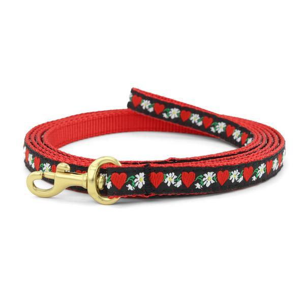 Hearts And Flowers Small Breed Lead