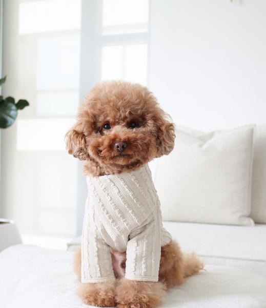 Ivory Sweater