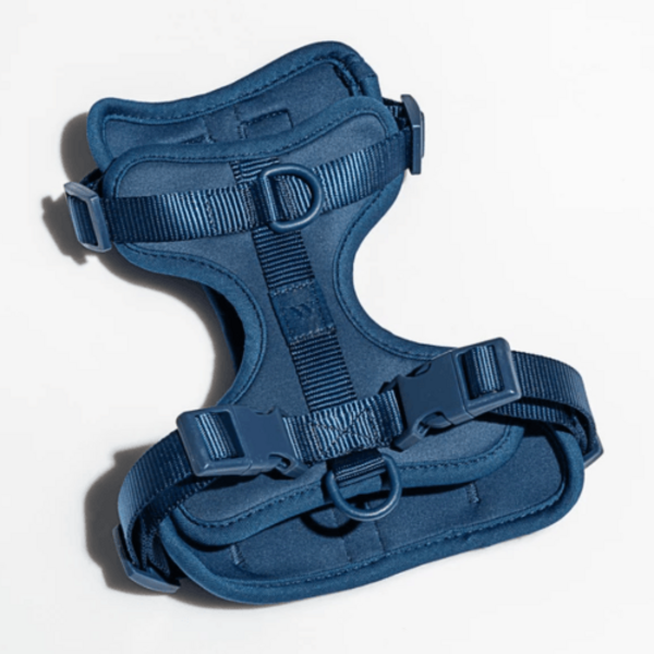 Cushioned Harness